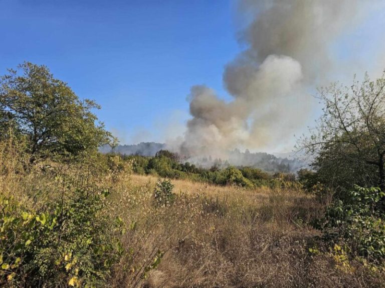 15 пожари на отворено во последното деноноќие, eден е се уште активен