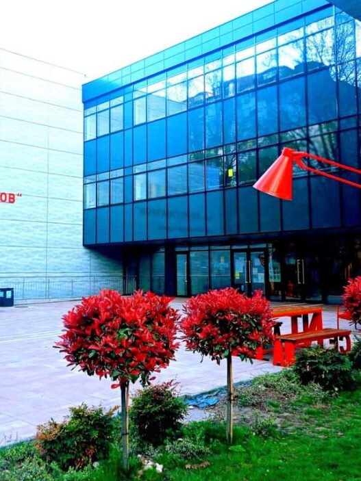 Загрижувачко: во ОУ „Киро Глигоров” во Центар четвртооделенец извадил нож во училница