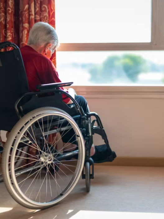 Државните домови се преполни, приватните прескапи, семејствата оставени сами да се грижат за болните стари лица