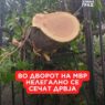 Зелен хуман град реагира на сечење дрва во кругот на МВР