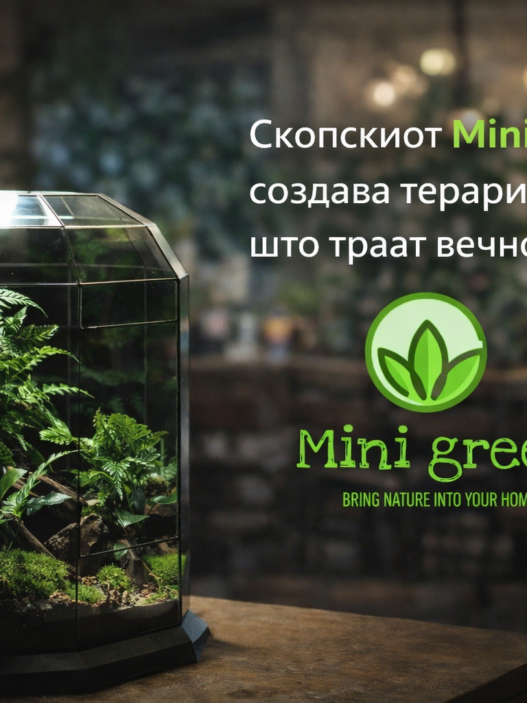 Скопскиот MiniGreen создава терариуми што траат вечно – единствениот локален бренд што ја внесува тропската природа во вашиот дом