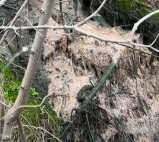 „Независни за Карпош“ реагираат за сериозен проблем со канализацијата во Горно Нерези