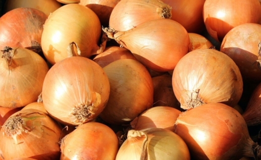 Кромидот крие здравје и во деловите што ги фрламе