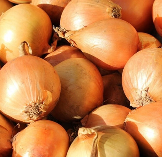 Кромидот крие здравје и во деловите што ги фрламе