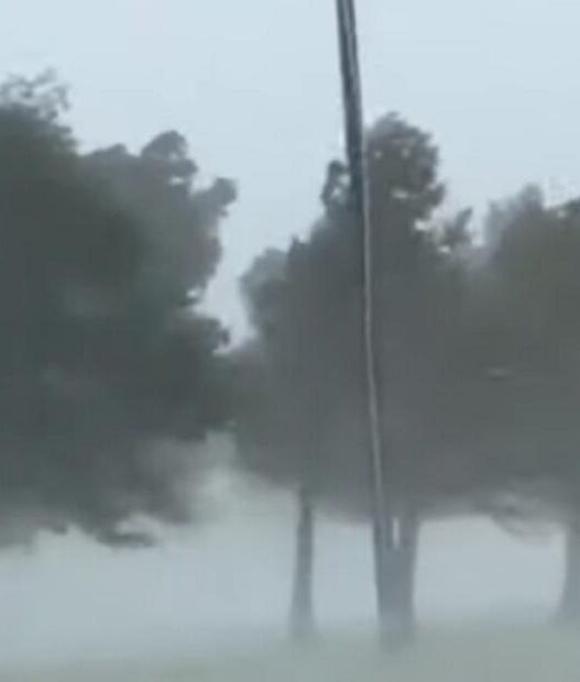 Невреме во Загреб: Ветер и дожд го парализираа градот, учениците пуштени дома