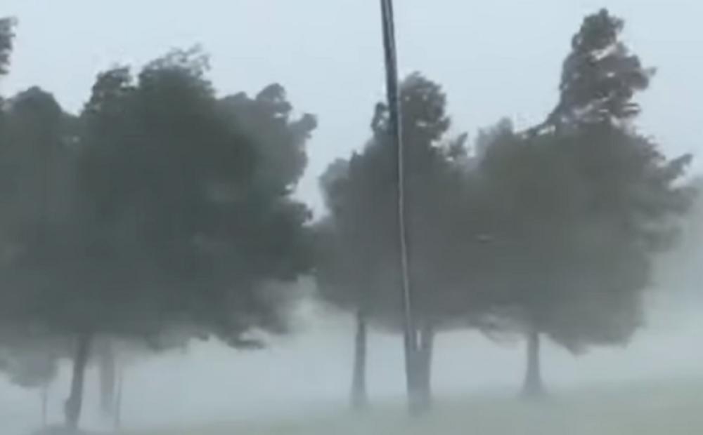 Невреме во Загреб: Ветер и дожд го парализираа градот, учениците пуштени дома