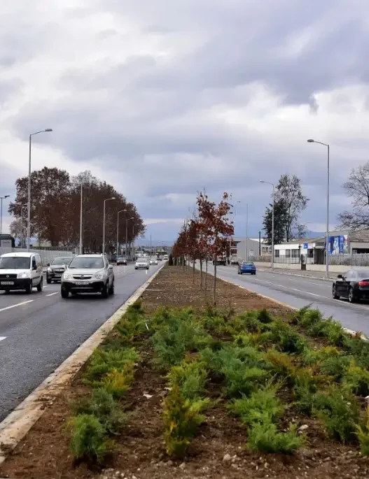 Стопати кажаа, ама лопати не фатија: Време е за засилено садење дрвца во Скопје