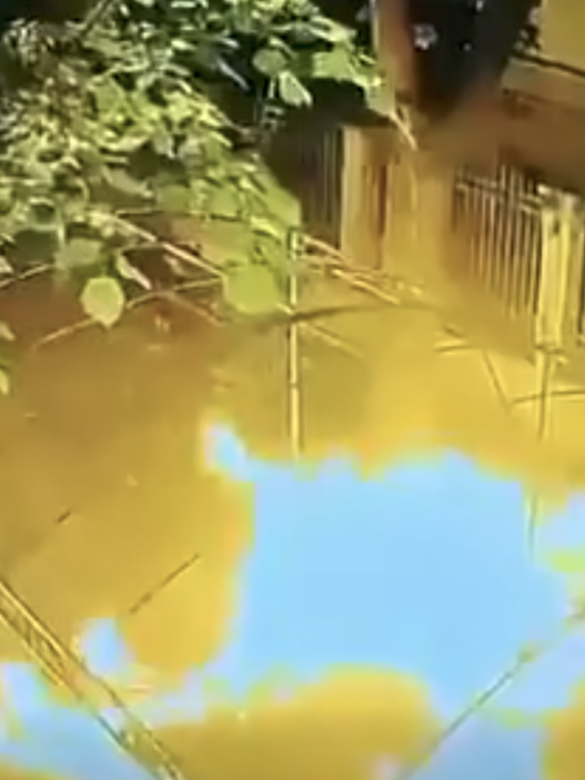 (Видео) Обид за палење на Синагогата во Скопје