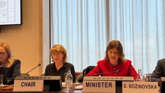 Божиновска: Одлучни политики, силни инвестиции и меѓународна соработка за одржлива енергетска иднина