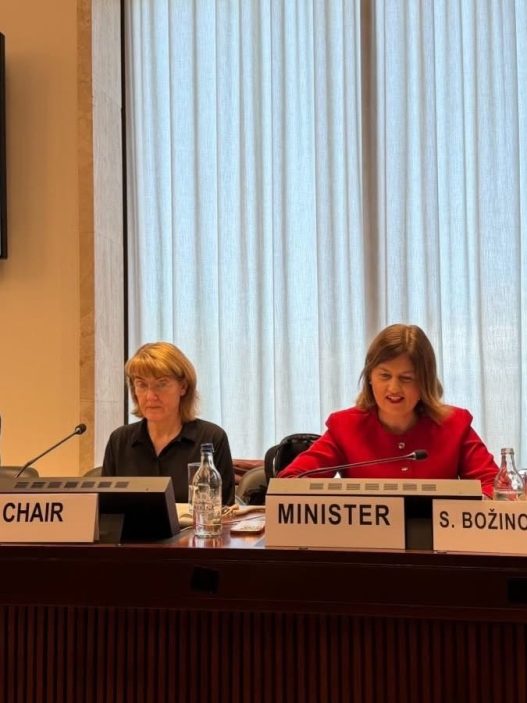 Божиновска: Одлучни политики, силни инвестиции и меѓународна соработка за одржлива енергетска иднина