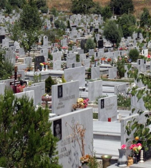 Пријава на социјални мрежи за оставени човечки коски на патека во гробиштата во Бутел