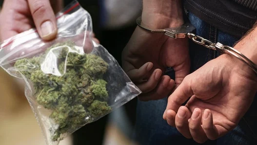 Уапсен дилер од Турција: во Скопје „развил” бизнис со марихуана и со обложување