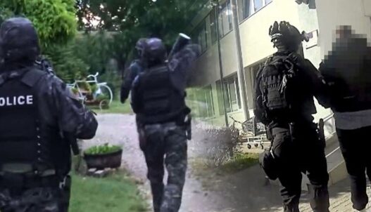 Голема полициска акција на 15 локации – запленета дрога и оружје во Скопје, Струмица и Штип