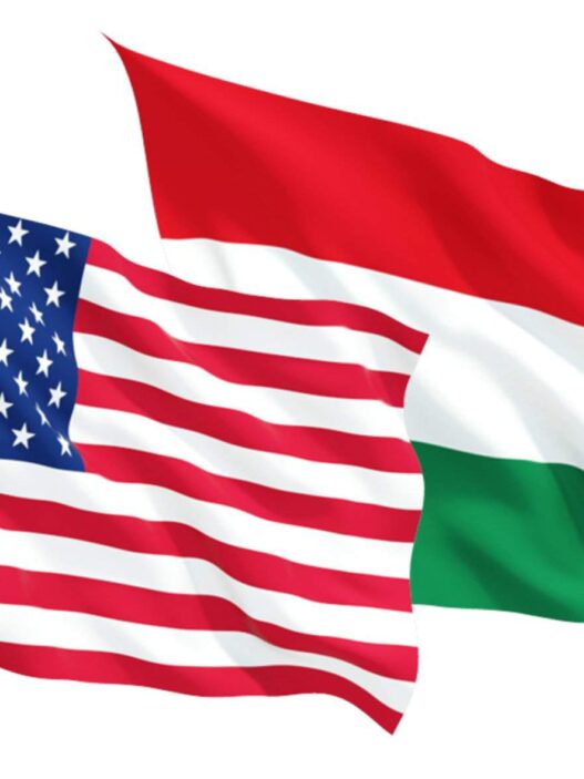 Венс порача од Будимпешта: Не се мешаме во унгарските избори