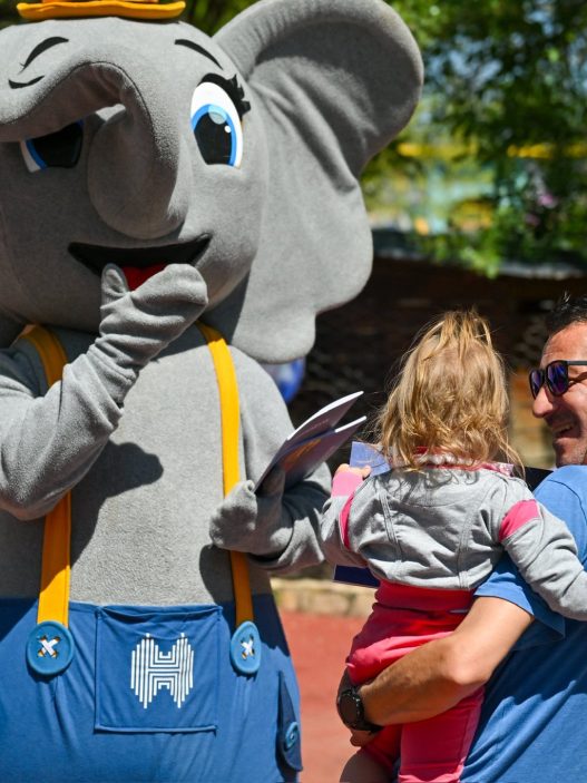 (Фотогалерија) Цела година ќе се одбележува јубилејот 100 години од основањето на Зоолошката градина во Скопје