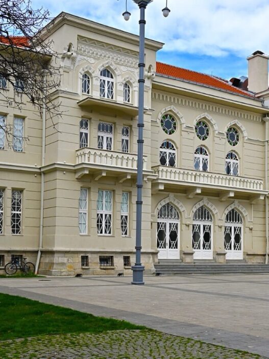 Вински Фестивал Битола: Фестивал на вино, музика и градска атмосфера