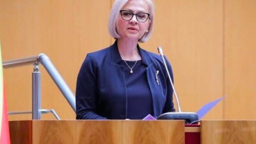 Оставка од Советот за македонски јазик: Преку некои работи не може да се премине