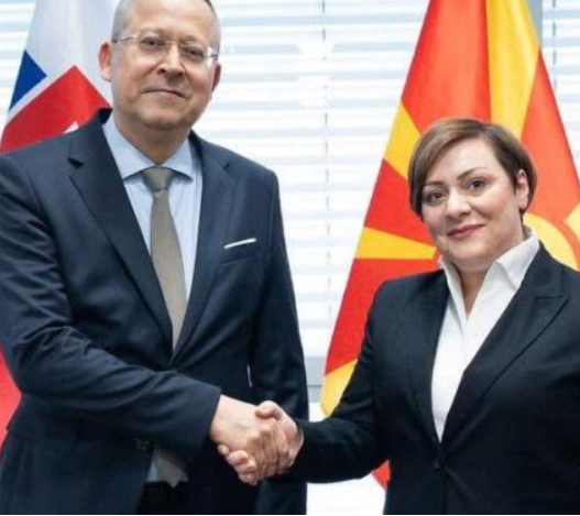 Димитриеска-Кочоска: Словачка силно ја поддржува евроинтеграцијата и економските реформи на Македонија